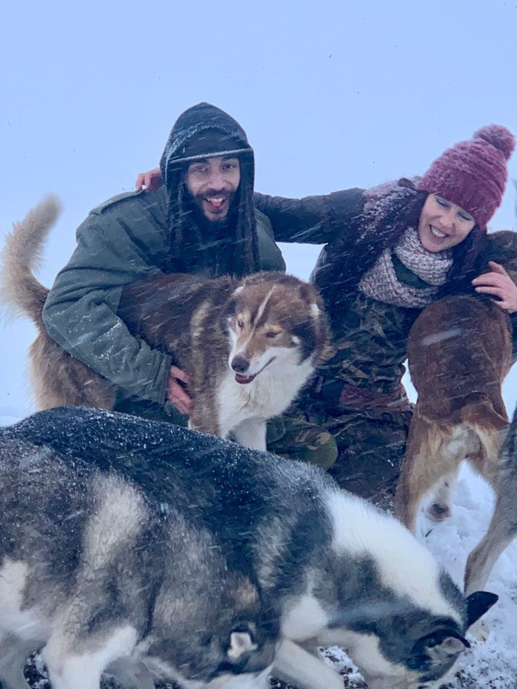 Huskys im Schnee