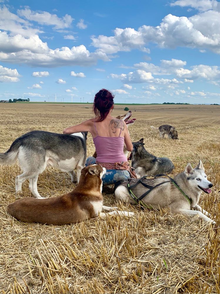 Cornelia Köhler mit ihren Huskys auf einem abgeernteten Feld unter weitem Himmel