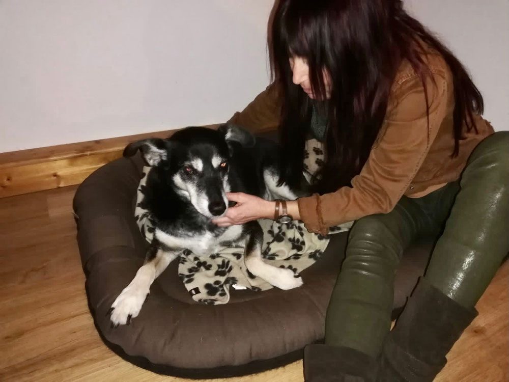 Hausbesuch bei Loona und Balu