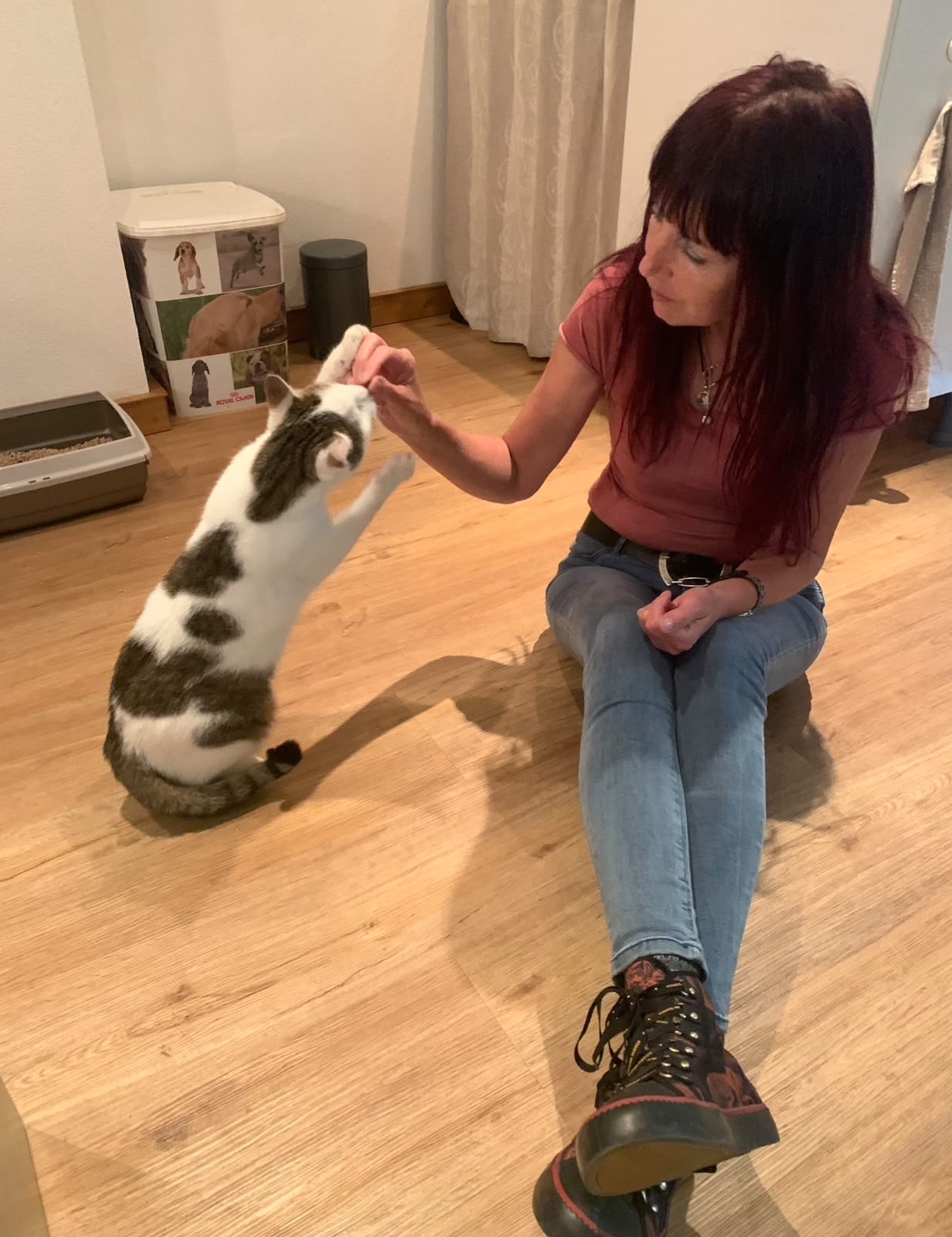 Cornelia Köhler übt mit einer Katze „Pfote geben“ in der Praxis