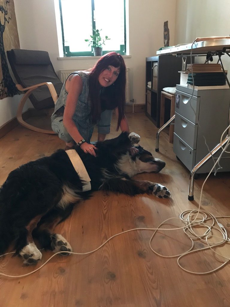 Cornelia Köhler behandelt einen Hund auf dem Boden des Praxisraums
